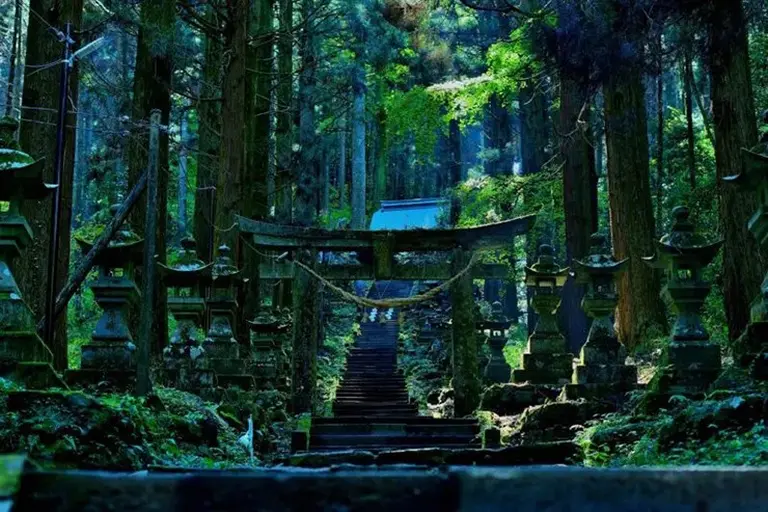 10 Hidden Torii Gates In Japan You Probably Haven’t Heard Of 3