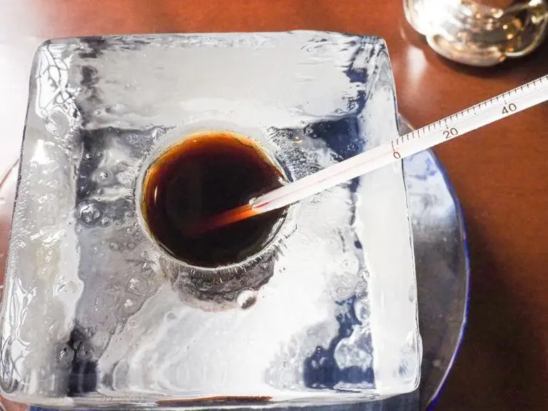 Quirky Coffee Experiences In Japan That Young Travelers Can’t Resist 4