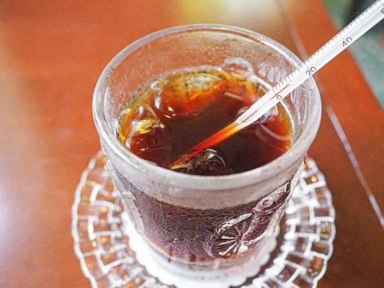 Quirky Coffee Experiences In Japan That Young Travelers Can’t Resist 5
