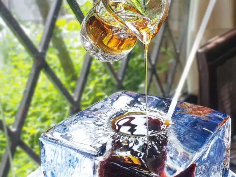 Quirky Coffee Experiences In Japan That Young Travelers Can’t Resist 7