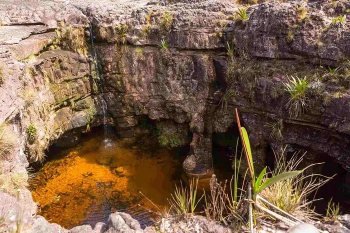 Journey to Conquer Mount Roraima 10