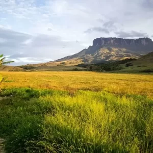 Journey to Conquer Mount Roraima