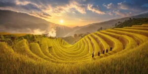 How To Travel Asia On A Budget