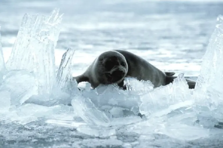 Lake Baikal 6