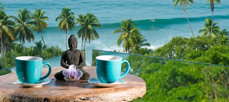 Luxury Wellness Retreats In Costa Rica 6